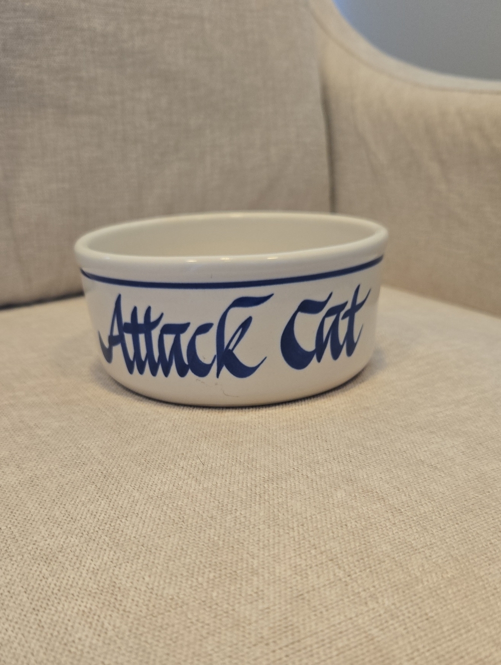 Attack Cat Ceramic Pet Bowl in White and Blue - Pet Cat